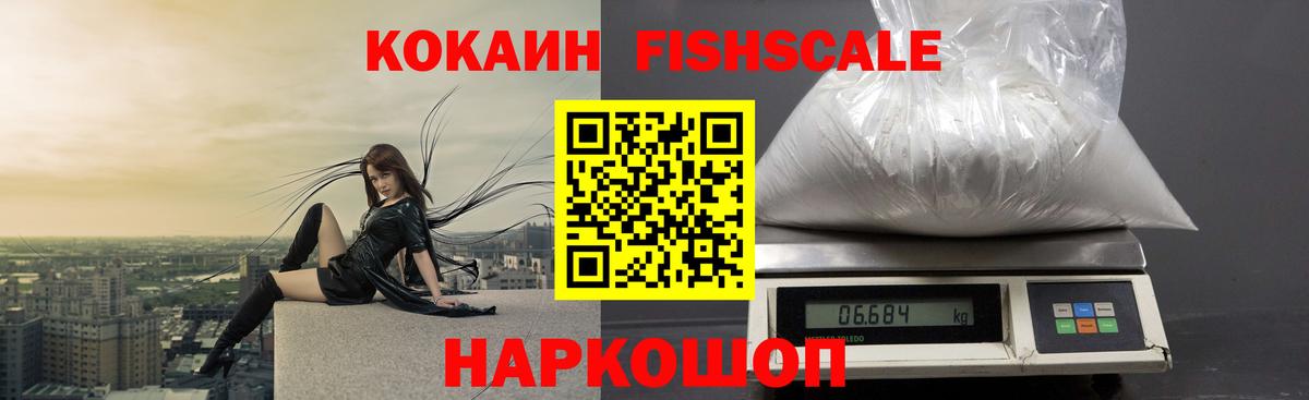КОКАИН Fish Scale  Вход с VPN  Кингисепп 