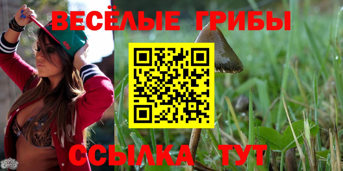 Галлюциногенные грибы GOLDEN TEACHER Кингисепп