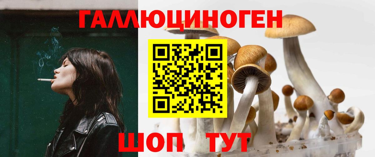 Кингисепп  Псилоцибиновые грибы Psilocybine cubensis  Псилоцибиновые грибы Psilocybine cubensis  Вход с VPN 
